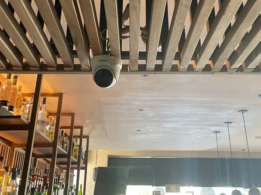 Trabajo reciente de seguridad 